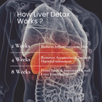 DailyHabbit Liver Detox