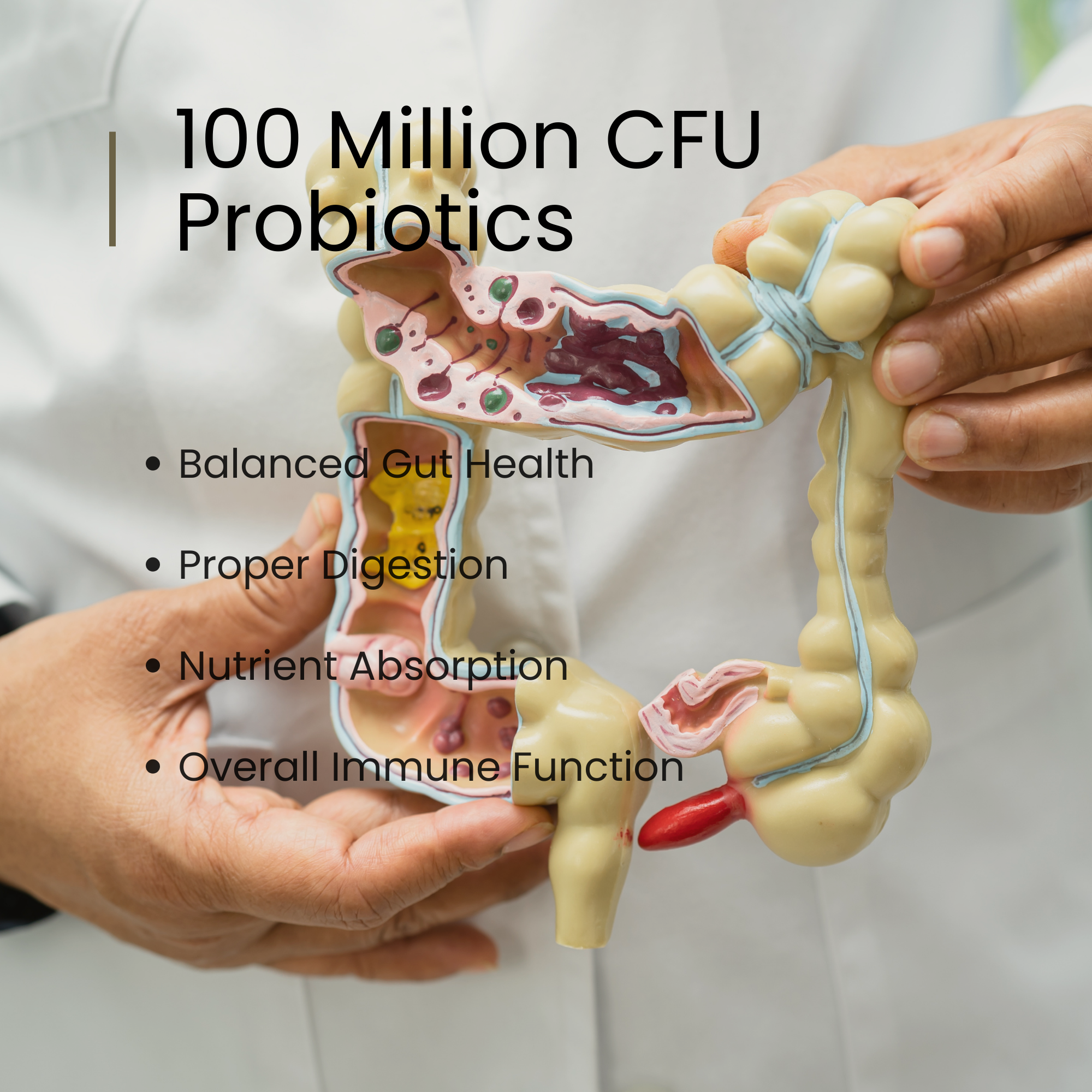 DailyHabbit Multivitamin With Probiotics